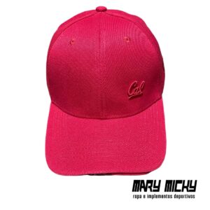 Gorros de color entero - COD1000